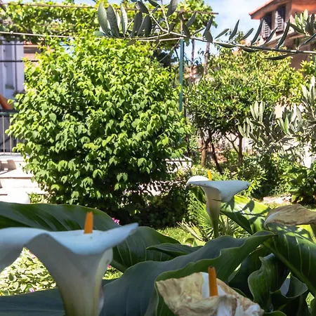 Apartment Marjan Hill 3-br Apt,5 Guests Private Garden Near